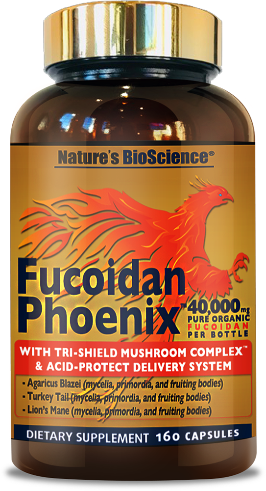 Fucoidan Phoenix bottle