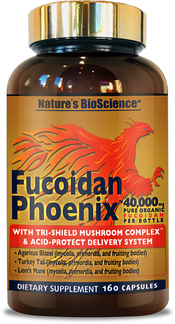 Fucoidan Phoenix bottle